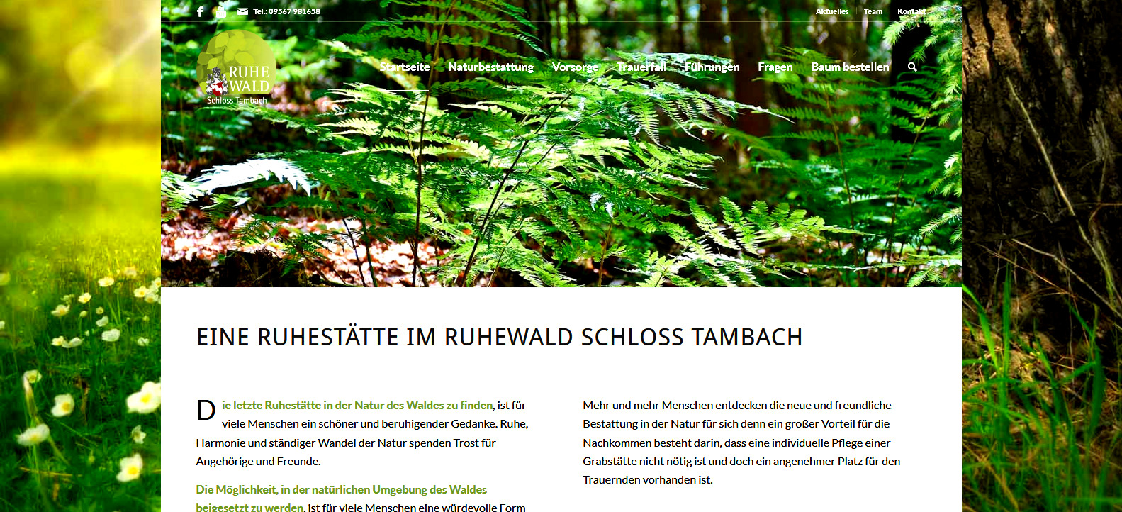Ruhewald Schloss Tambach – Naturbestattung